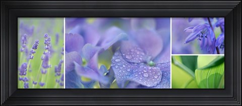 Framed Blue Garden Print