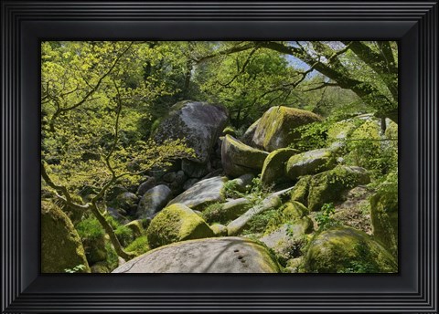 Framed Chaos Of  Huelgoat I Print