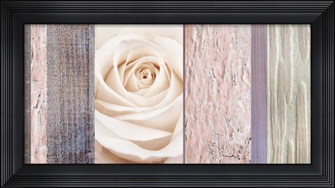 Framed Ivory Rose Ccollage Print