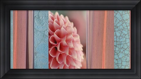 Framed Salmon-pink Dahlia Collage Print