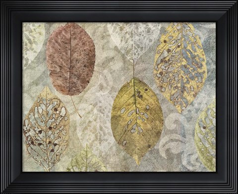 Framed Autumn Leaves Print