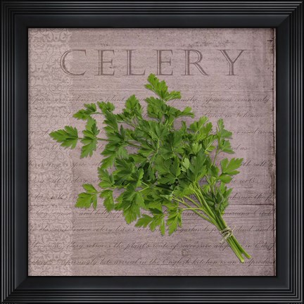 Framed Classic Herbs Celery Print