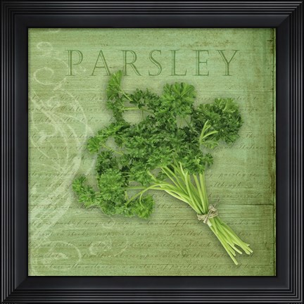 Framed Classic Herbs Parsley Print