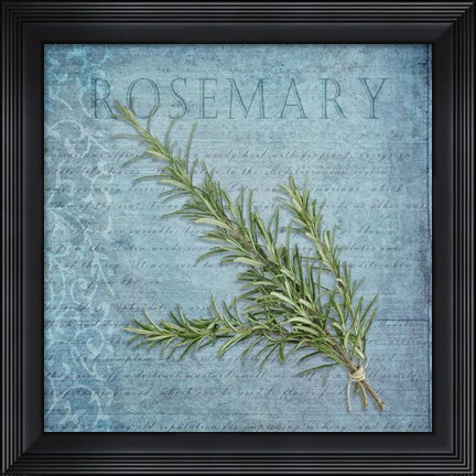 Framed Classic Herbs Rosemary Print