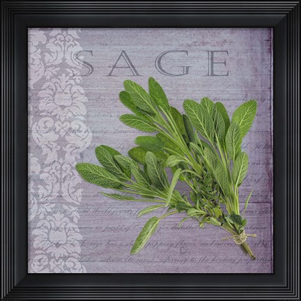 Framed Classic Herbs Sage Print