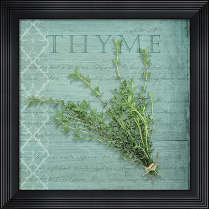 Framed Classic Herbs Thyme Print