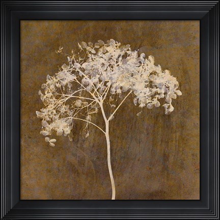 Framed Hortensia Silhouette Bronze Print