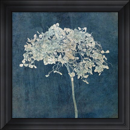 Framed Hortensia Silhouette Sapphire Print