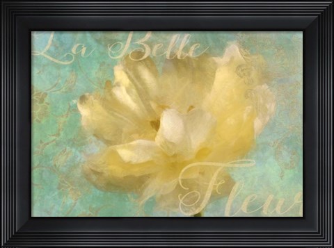 Framed La Belle Fleur II Print