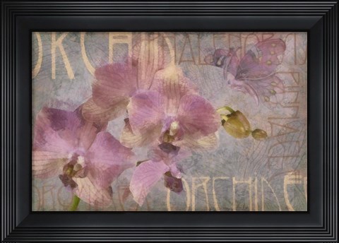 Framed Orchid I Print