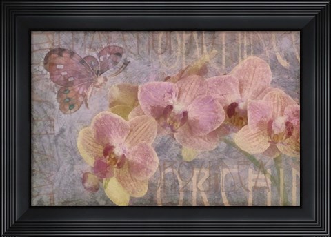 Framed Orchid II Print