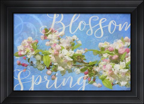 Framed Spring Blossom Print