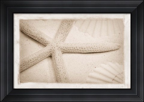 Framed Starfish, Shells and Sand Print