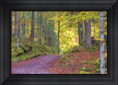 Framed Wood Walk Painting Print