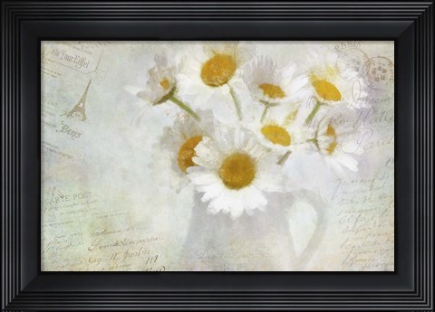 Framed Daisies Paris Vintage Print