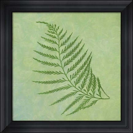 Framed Fern Series Vintage I Print