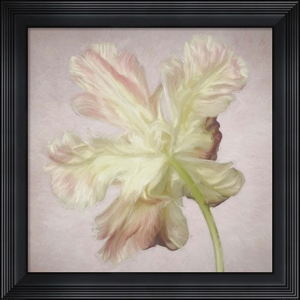 Framed Pink Parrot Tulip Painting II Print