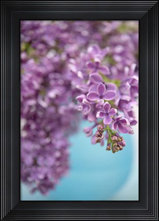 Framed Lilacs in Blue Vase II Print