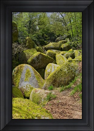 Framed Chaos Of  Huelgoat II Print