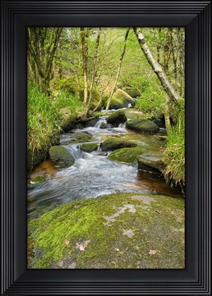 Framed Chaos Of  Huelgoat III Print