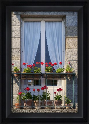 Framed Window With Red Geraniums Print