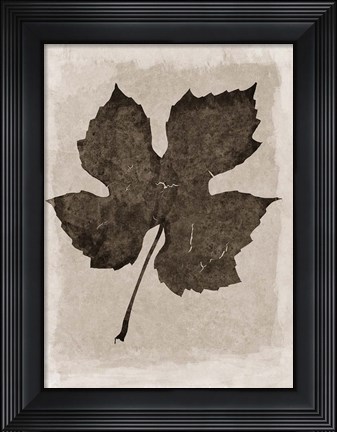 Framed Sepia Grape Leaf Print
