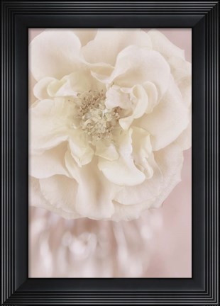 Framed Rose Gold Print