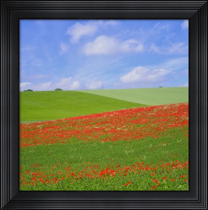 Framed Poppy Field Print
