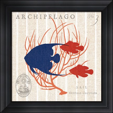 Framed Island Findings IV Fish Print