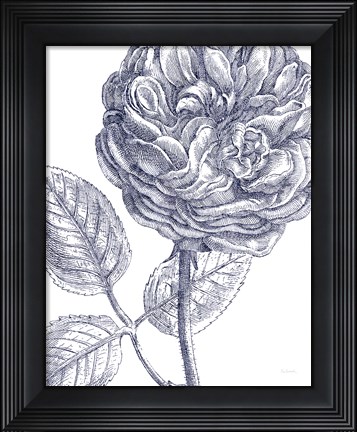 Framed Belle Fleur III Light Crop Print