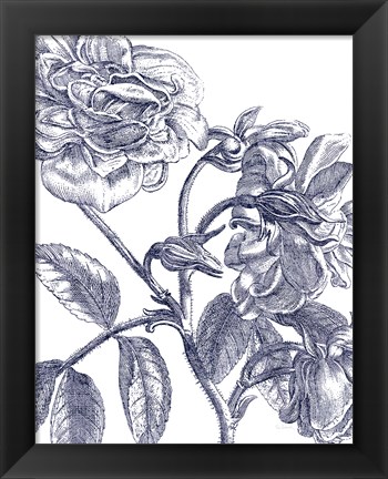 Framed Belle Fleur I Light Crop Print