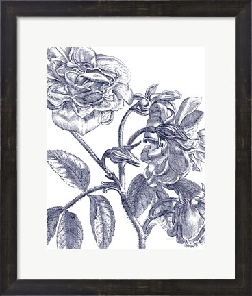 Framed Belle Fleur I Light Crop Print