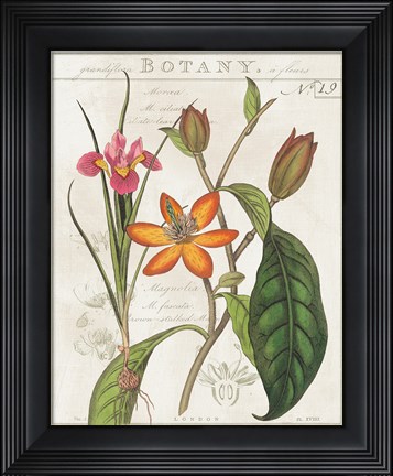 Framed Vintage Flora III Ivory Print