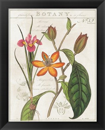 Framed Vintage Flora III Ivory Print