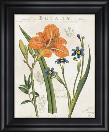 Framed Vintage Flora II Ivory Print