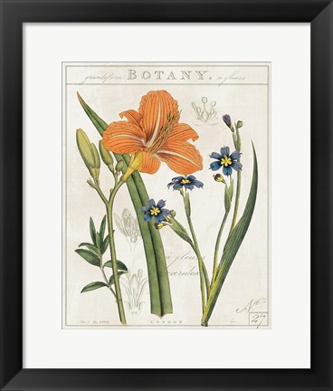 Framed Vintage Flora II Ivory Print