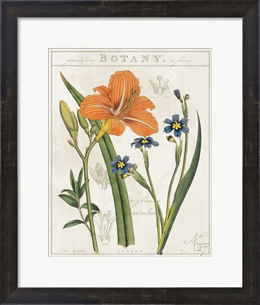 Framed Vintage Flora II Ivory Print