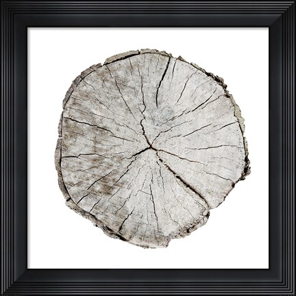 Framed Woodland Years I on White Print