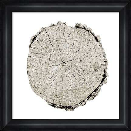 Framed Woodland Years II on White Print