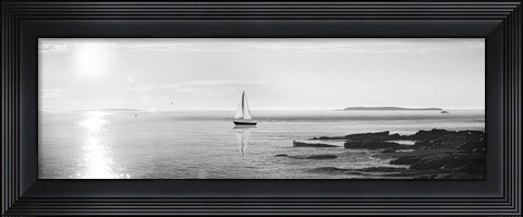 Framed Evening Sail Black and White Crop Print