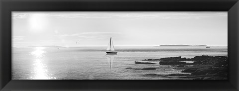 Framed Evening Sail Black and White Crop Print