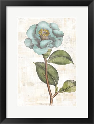 Framed Bloemen Boek IX Print