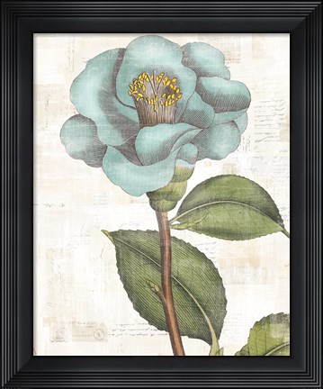 Framed Bloemen Boek V Print