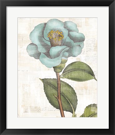 Framed Bloemen Boek V Print