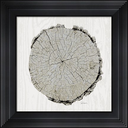 Framed Woodland Years II with Silver v2 Print