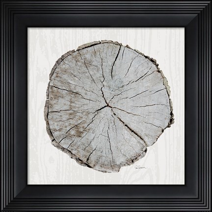 Framed Woodland Years I with Silver Print