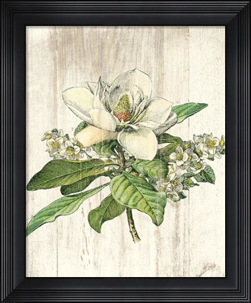 Framed Magnolia de Printemps no Words Print