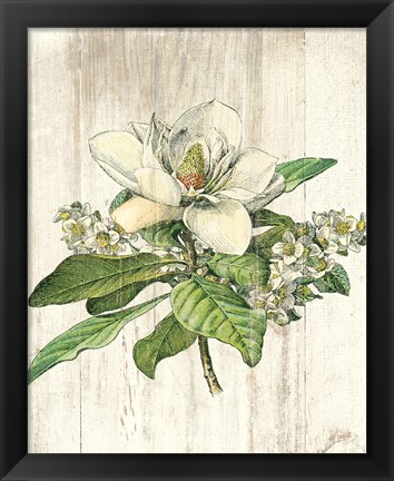 Framed Magnolia de Printemps no Words Print