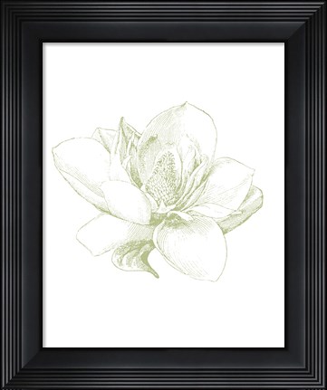 Framed Le Jardin Printemps Pattern I Magnolia Print