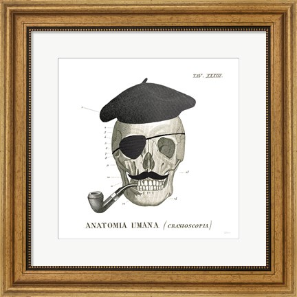 Framed Dandy Bones VI Print